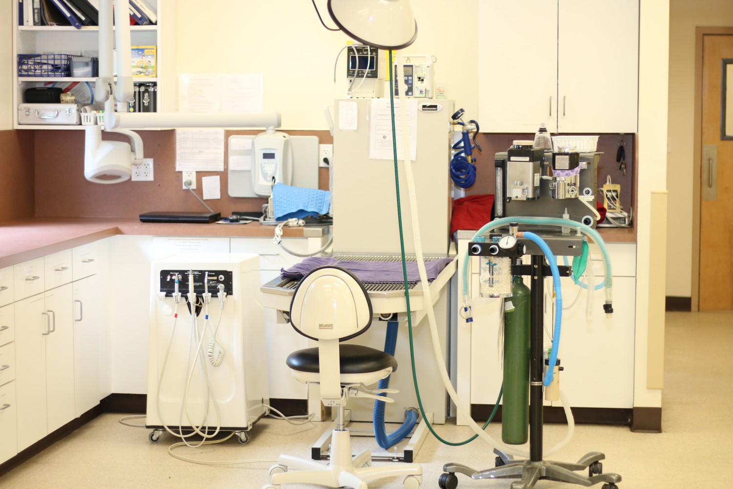 Tour Our Facility Litchfield Veterinary Hospital Litchfield, CT